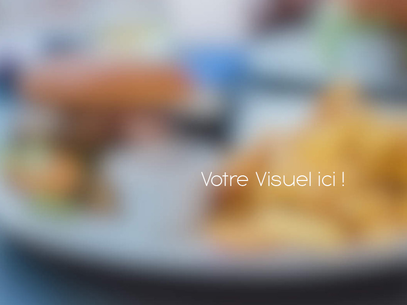 Votre visuel ICI !