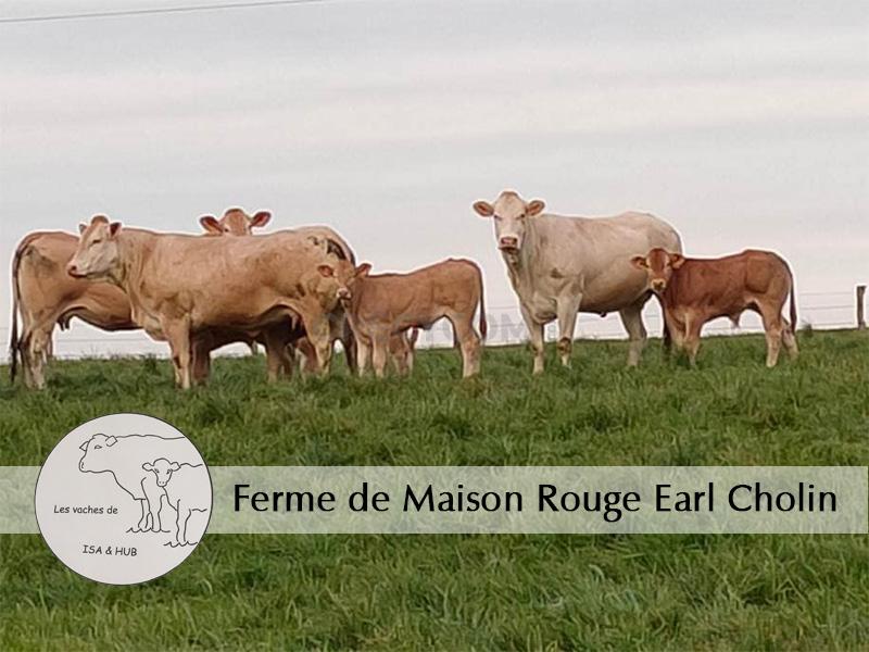 Ferme de Maison Rouge Earl Cholin